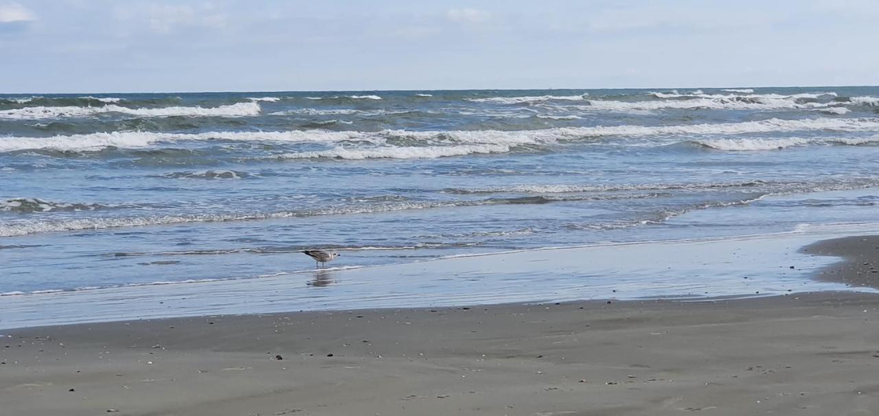 Isabelle Apartament Alezzi Beach Resort Mamaia Nord Năvodari Buitenkant foto